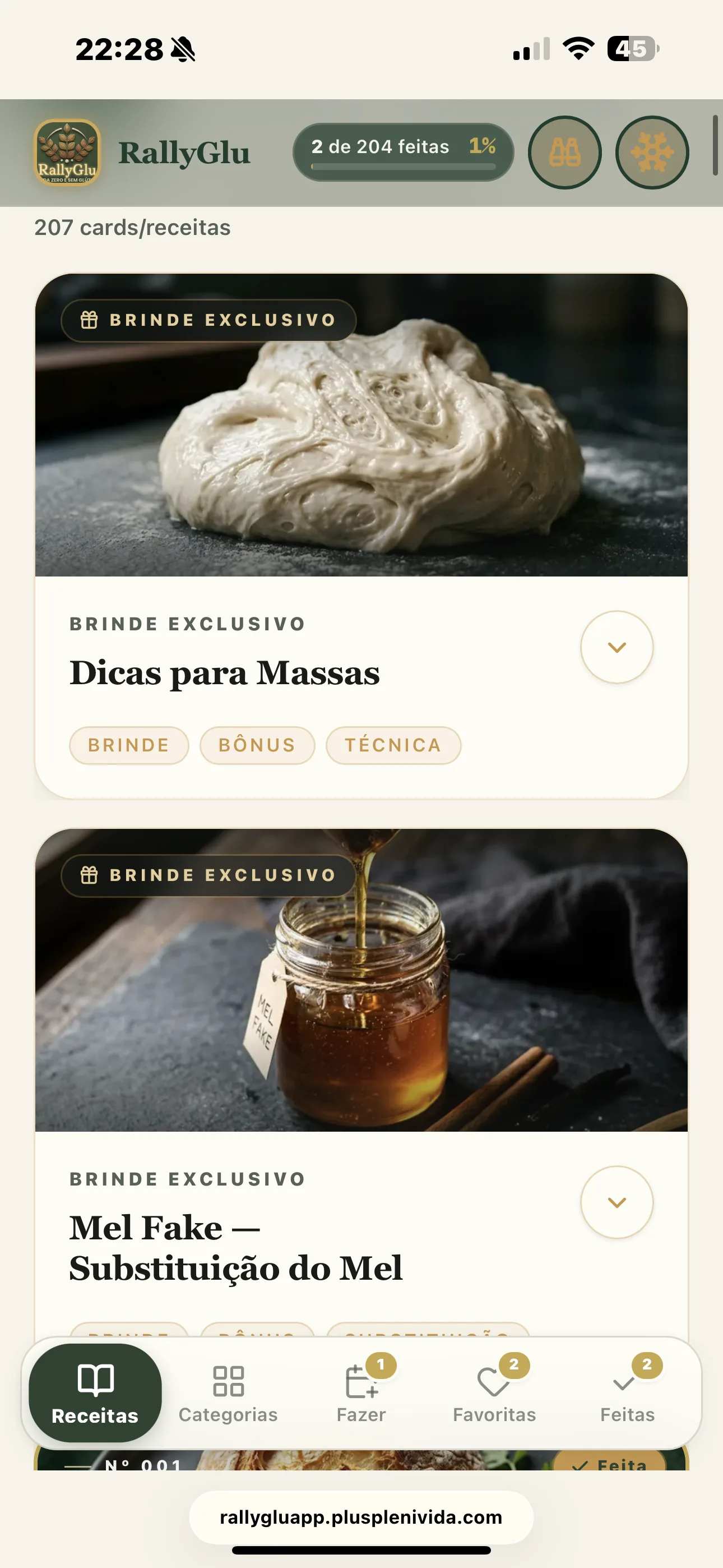 Tela do app RallyGlu — 2 — Aba "Receitas"